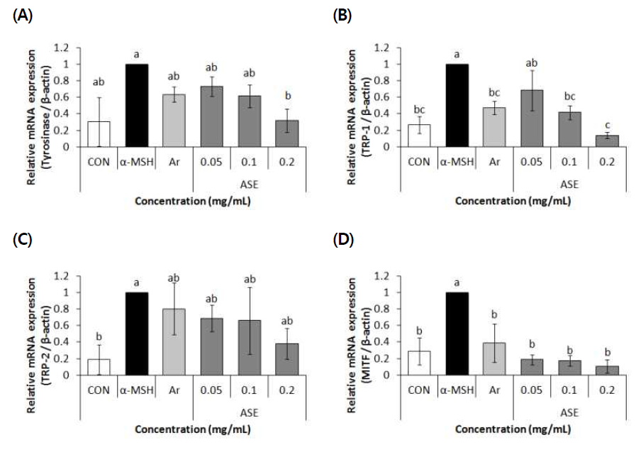 Effect of 70% ethanol extract of Rough aster (Aster scaber Thunberg) on Tyrosinase(A), TRP-1(B), TRP-2(C), MITF(D) mRNA expression in B16F10 cells. Values are means±SD (n=3)