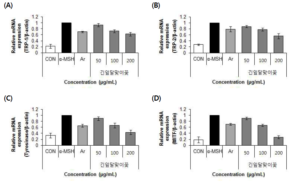 Effect of 70% ethanol extract of primrose (Oenothera stricta Ledeb.) on TRP-1, TRP-2, Tyrosinase, MITF mRNA expression in B16F10 cells. Values are means±SD (n=3)