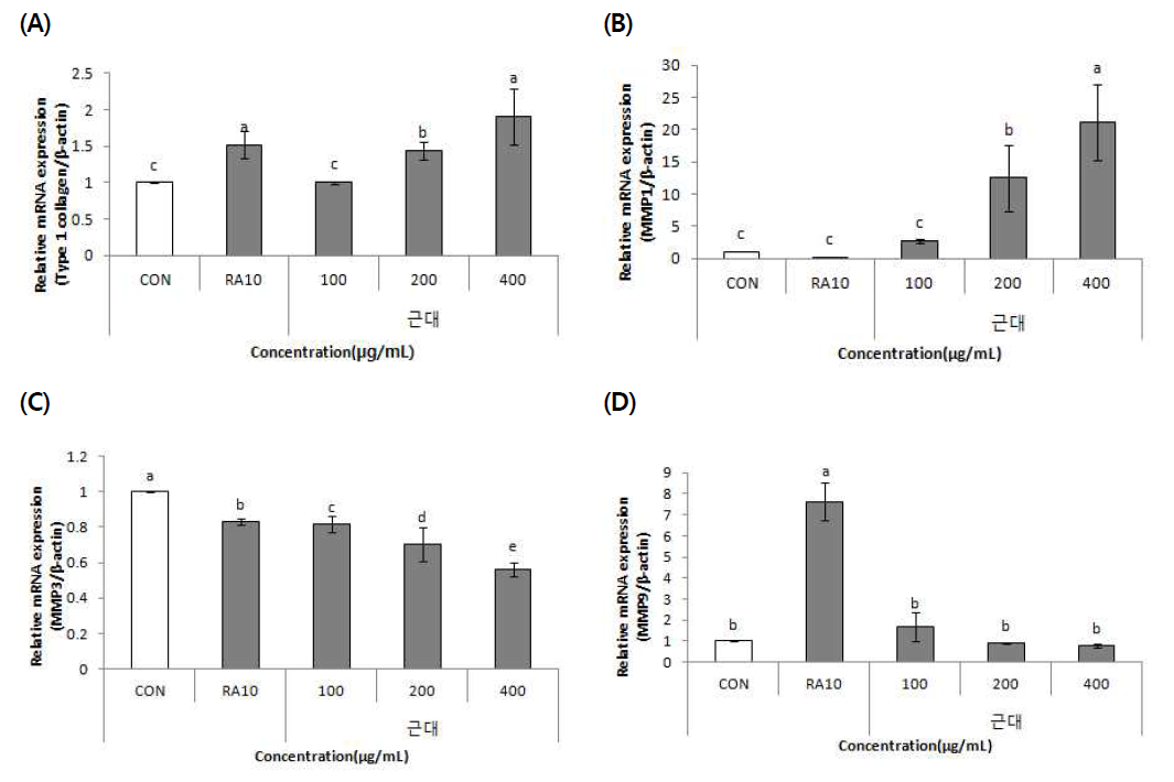 Effect of leaf beet (Beta vulgaris var. cicla L.) 70% EtOH extract on Type 1 collagen(A), MMP1(B), MMP3(C), MMP9(D) mRNA expression in HS68 cells. Values are means±SD (n=3)