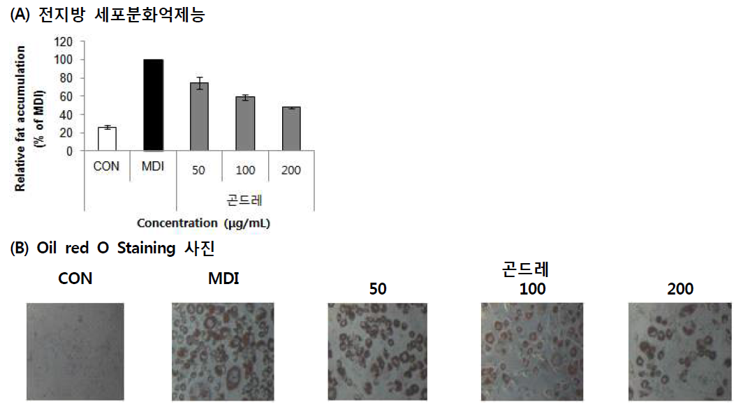 Effect of Korean thistle (Cirsium setidens Nakai) 70% EtOH extract on lipid accumulation. Values are means±SD (n=3)