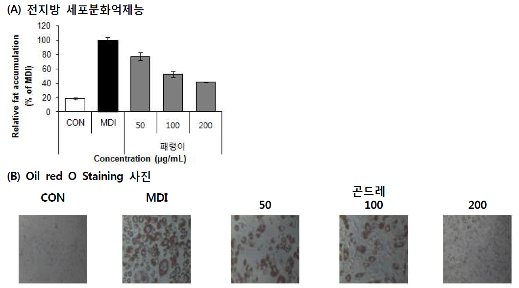 Effect of Rainbow pink (Dianthus chinensis L.) 70% EtOH extract on lipid accumulation. Values are means±SD (n=3)