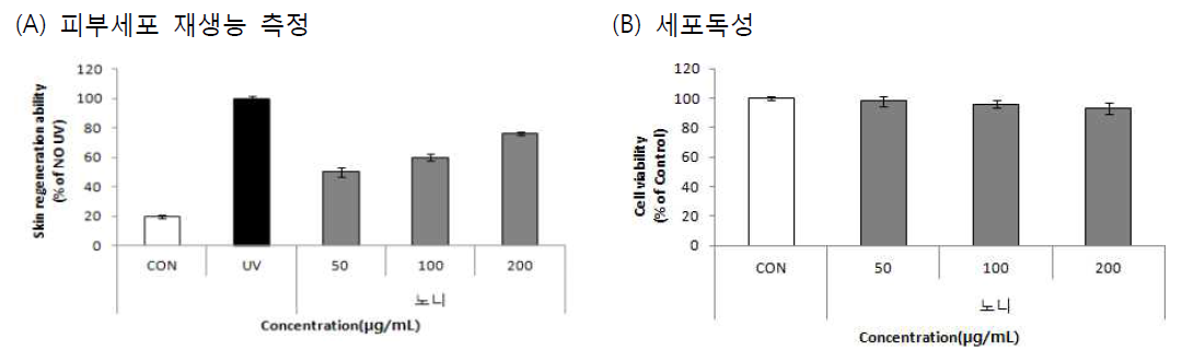 Effect of Morinda citrifolia 70% EtOH extracts on collagen content(A), Cell viability(B)