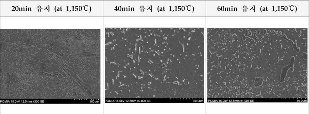 17Cr 소재의 퀜칭 시간에 따른 미세조직(at 1,150°C)