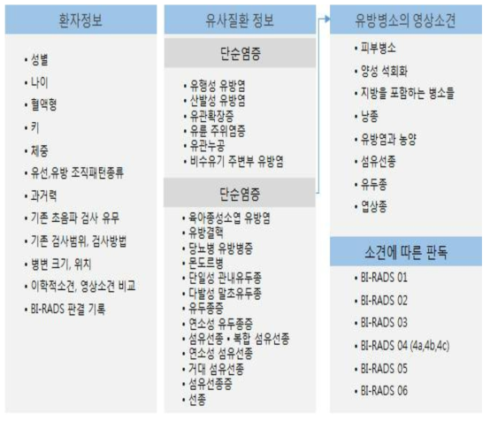 유사환자 정보 구성