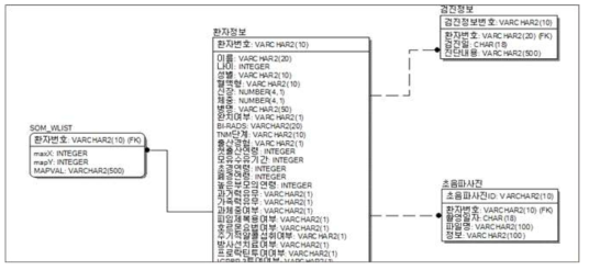 입력층과 경쟁층 분류