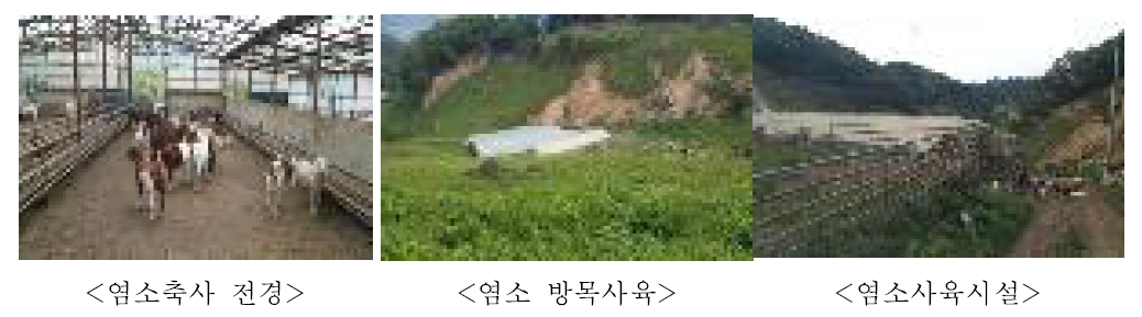 염소 사육시설