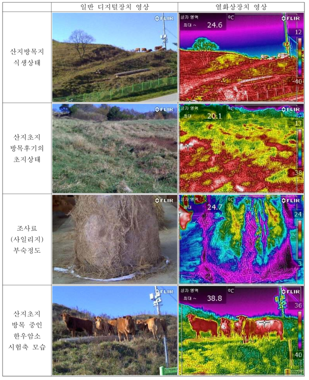 열화상장치 이용한 한우암소의 산지방목관리(영농활용 참조)