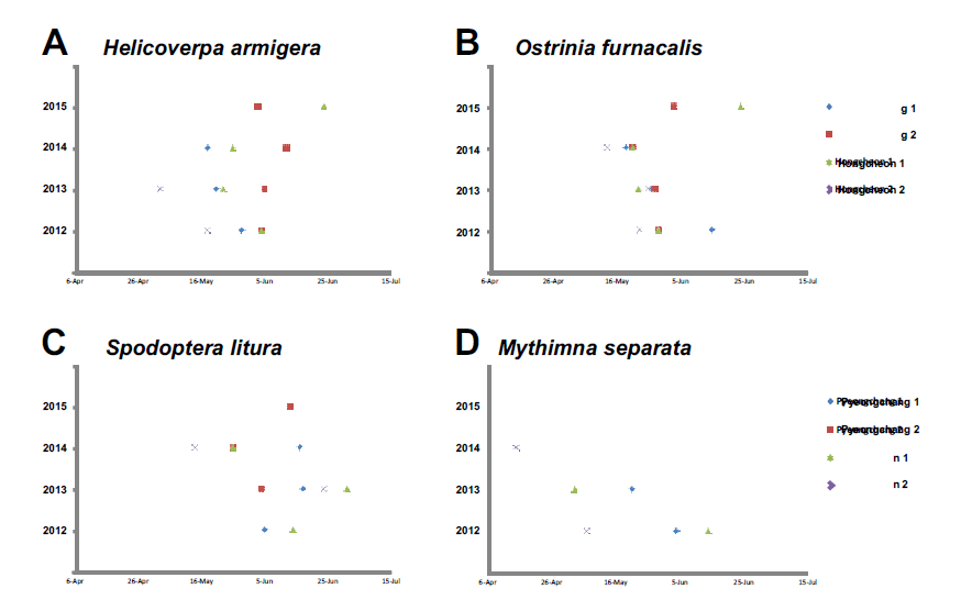 Dates of first collection of four major lepidopteran pests were figure out during 2012 to 2015 by species specific sex pheromone traps. Traps were set first of April in every year