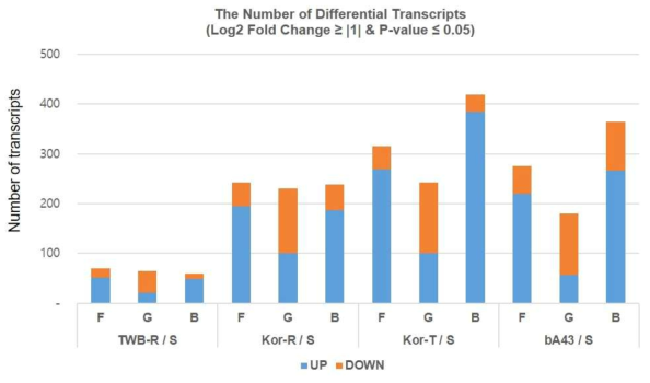 The number of differentially expressed transcripts in insecticide resistant strains (TWB-R, Kor-R, Kor-T and bA43) compared to that of susceptible strain (TWB-S) Helicoverpa armigera