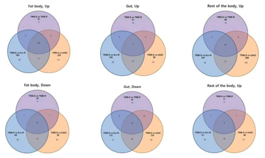 Diagram of differentially expressed transcripts in insecticide resistant strain compared to that of susceptible strain (TWB-S)