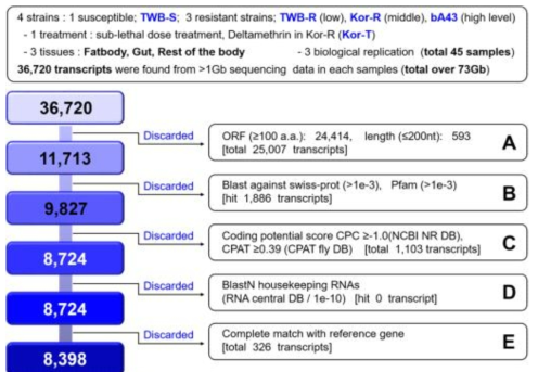 Pipeline to identify the long non-coding RNA, lncRNA form Helicoverpa armigera