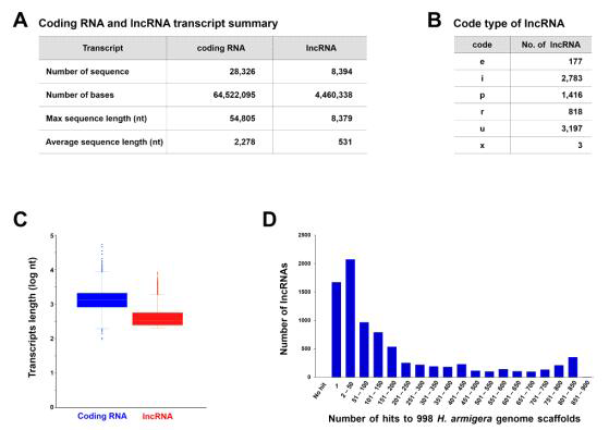 Some characteristic analysis of identified lncRNAs from Helicoverpa armigera