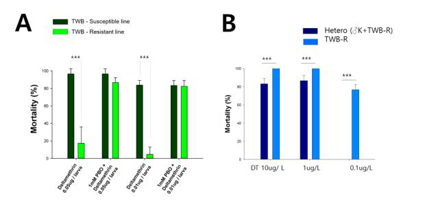 Bioassay results with or without synergist, piperonyl butoxide (PBO) in 3rd instar larvae of Helicoverpa armigera. Bioassay was tested using TWB-S (insecticide susceptible line), TWB-R (insecticide resistant line): A or hybrid from Kor-R and TWB-R: B. Mortality was checked in 48hrs after treatment of deltamethrin