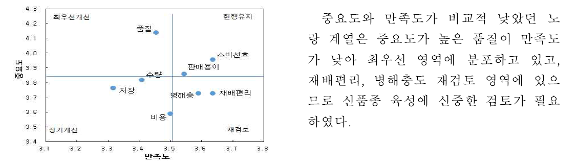 접목선인장_ 『노랑 계열』