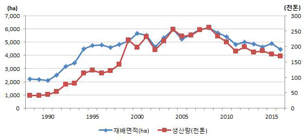 풋고추 재배 및 생산동향