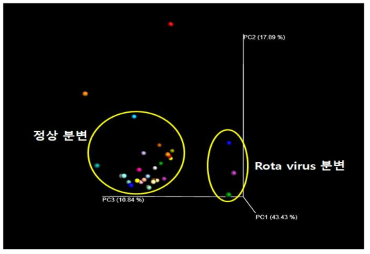 Rota virus 설사변과 정상분변의 미생물 균총 변화 탐색