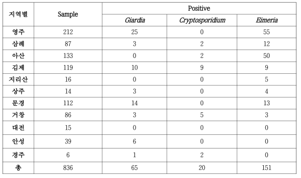 내부 기생충 검사 결과