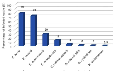Eimeria spp. 의 종류별 감염률