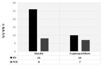 내부기생충 검사결과비교(시판 kit vs PCR)