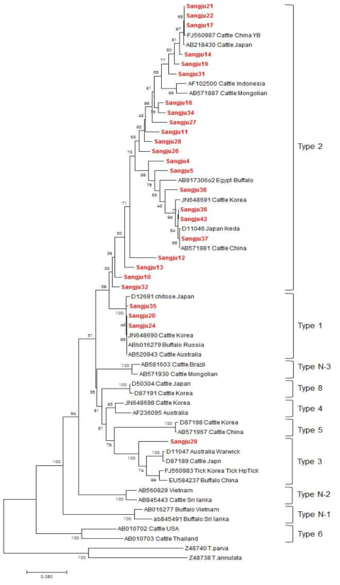 Farm E에서 검출된 T. orientalis의 계통발생도