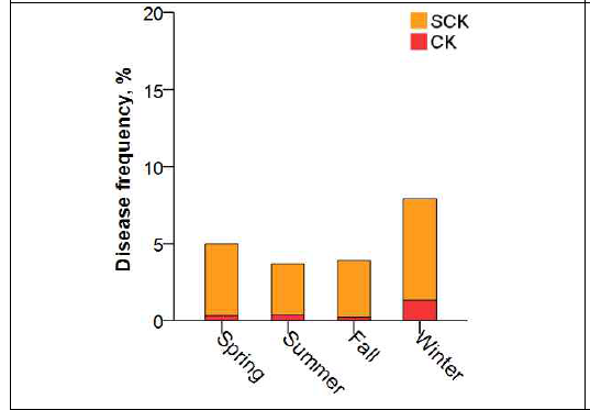 전체 유기에서 젖소의 계절별 케토시스 발생율(SCK : 준임상형, CK : 임상형 케토시스)