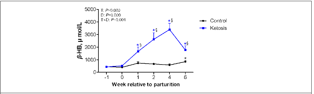 전환기 동안 정상(control)과 고케톤혈증 소(ketosis)에서 케톤체 농도 모니터링, T: Time(week) effect, D: Disease effect, T×D: Interaction effect, *P <0.05 vs before parturition(-1 week) in control, *P <0.05 vs –1 week in ketosis, §P <0.05 vs control within a same week