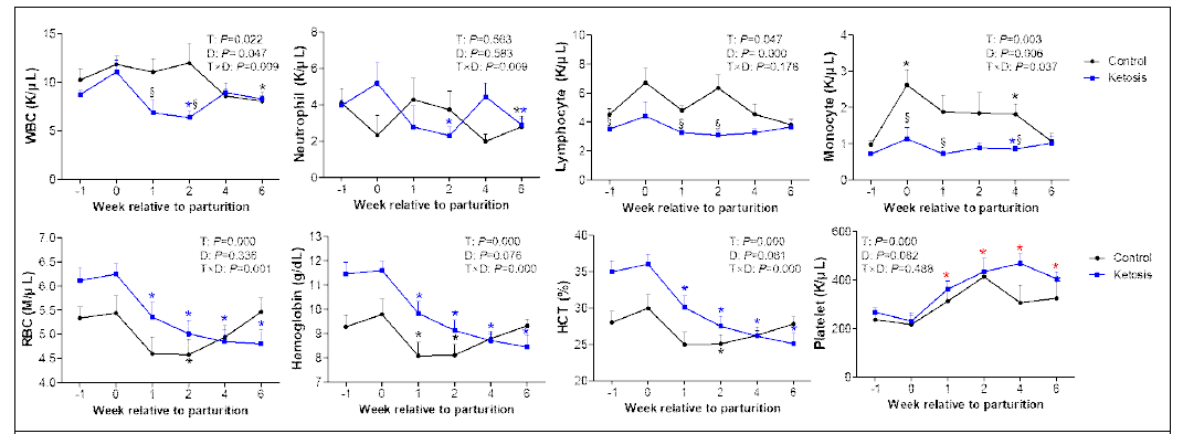 전환기 동안 정상과 고케톤혈증 소에서 혈구학적 변화 모니터링, *P<0.05 vs before -1 week in control, *P<0.05 vs –1 week in ketosis, *P<0.05 vs –1 week in both groups, §P<0.05 vs control within a same week