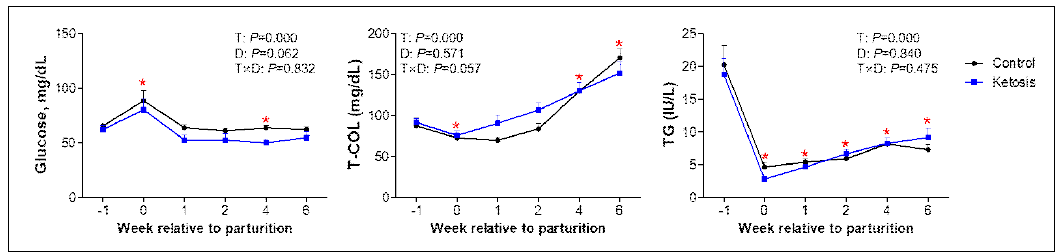 전환기 동안 정상과 고케톤혈증 소에서 에너지 대사 모니터링, *P<0.05 vs before -1 week in control, *P<0.05 vs –1 week in ketosis, *P<0.05 vs –1 week in both groups, §P<0.05 vs control within a same week