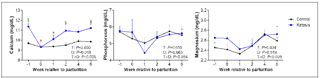 전환기 동안 정상과 고케톤혈증 소에서 미네랄 대사 모니터링, *P<0.05 vs before -1 week in control, *P<0.05 vs –1 week in ketosis, *P<0.05 vs –1 week in both groups, §P<0.05 vs control within a same week