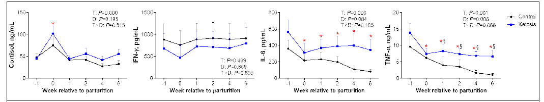 전환기 동안 정상과 고케톤혈증 소에서 코티솔 및 싸이토카인 모니터링, *P<0.05 vs before -1 week in control, *P<0.05 vs –1 week in ketosis, *P<0.05 vs –1 week in both groups, §P<0.05 vs control within a same week