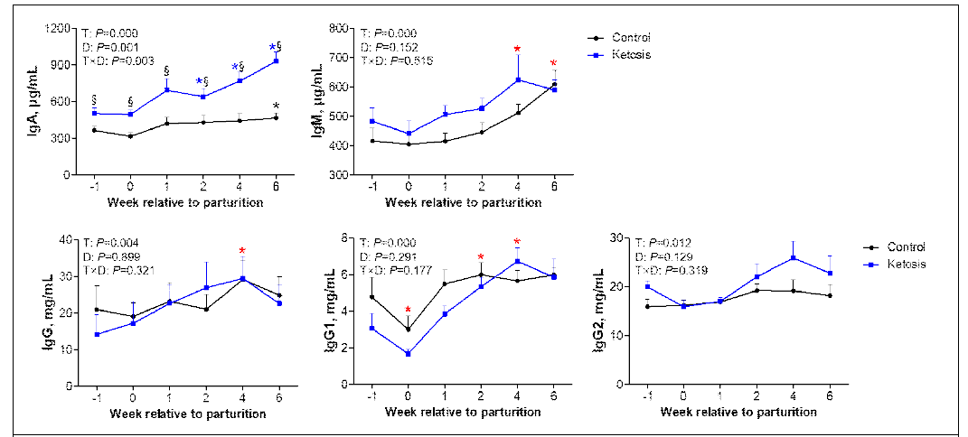 전환기 동안 정상과 고케톤혈증 소에서 면역글로불린 모니터링, *P<0.05 vs before -1 week in control, *P<0.05 vs –1 week in ketosis, *P<0.05 vs –1 week in both groups, §P<0.05 vs control within a same week