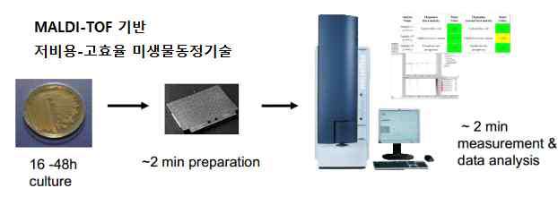 MALDI-TOF 기반 애그로 마이크로비오타 신속동정 기술 분석방법