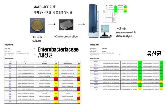 저비용-고효율 MALDI-TOF를 이용하여 분리 동정된 Enterobacteriacea와 유산균의 패턴분석