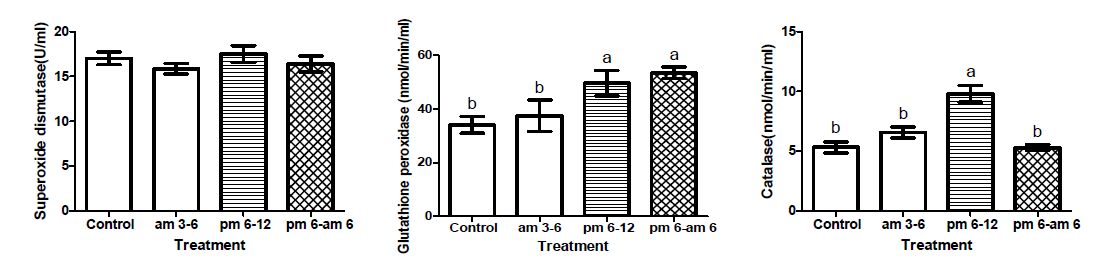 Activities of enzymatic antioxidants in plasma of experimental groups