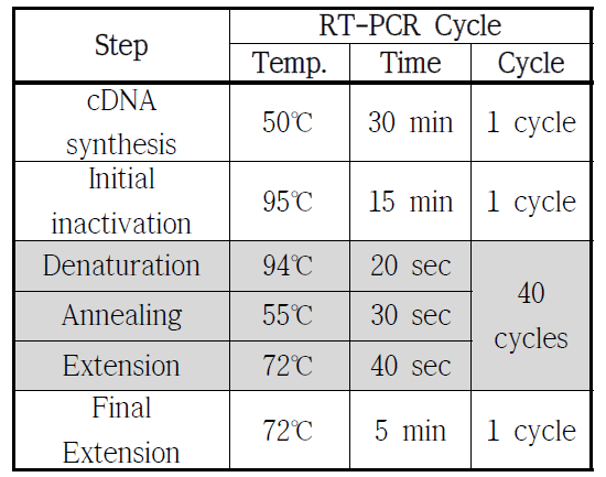 PCR Program