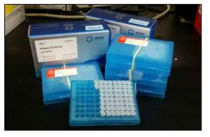 모기매개 5종 바이러스 PCR KIT