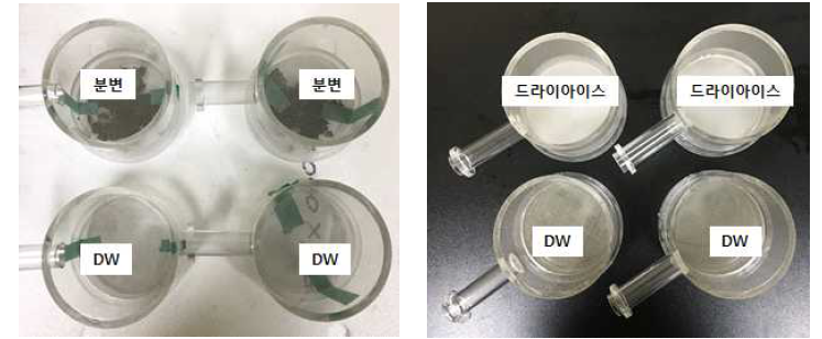 시험에 사용된 시험물질들(분변 및 드라이아이스)과 대조군(DW)