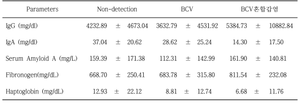 BCV 검출 그리고 미검출 개체들의 면역학적 분석