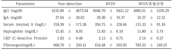 BVDV 검출 그리고 미검출 개체들의 면역학적 분석