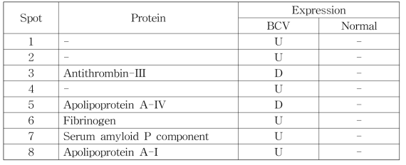 BCV 환축우 그리고 정상우 2-DE 이미지 분석을 통한 spots의 동정 및 발현량 비교 분석 (정상우와 비교 분석에 의한 발현량 비교, U, up; D, down)