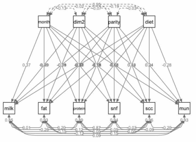 Diagram for path analysis