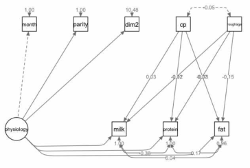 Structural equation model diagram for evaluation of effect of diet and physiological condition on milk productivity. Physiological conditions included month, parity and days in milking. For diet, crude protein (cp in diagram) and ratio of roughage in diet (roughage in diagram). Milk yield (milk in diagram), milk protein (protein in diagram) and milk fat (fat in diagram) were employed as responses
