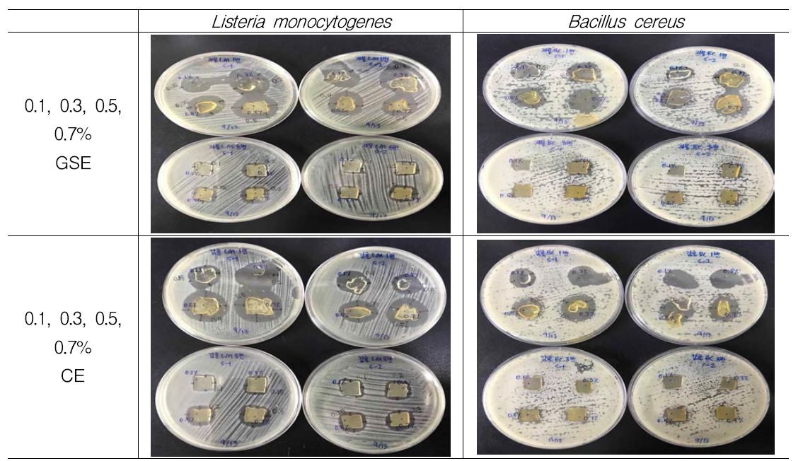 항균물질 농도에 따른 Listeria monocytogenes와 Bacillus cereus에 대한 하이드로겔의 항균활성 확인