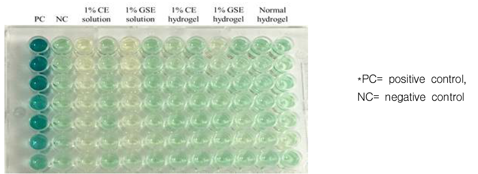 SOS chromotest를 통한 유전학적 독성 확인