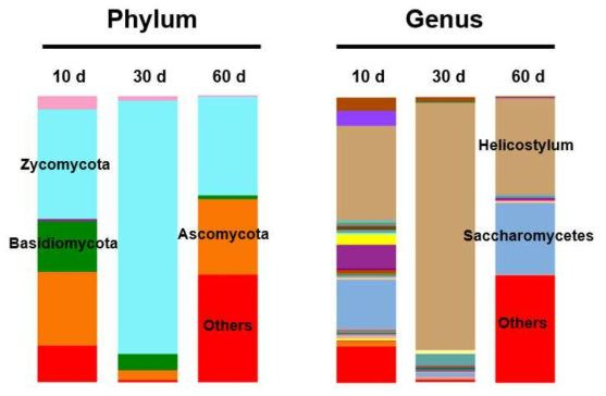 Illumina sequencing을 이용한 건조숙성 한우고기 단계별 효모/곰팡이 미생물균총 변화. (왼쪽) phylum수준, (오른쪽) Genus수준