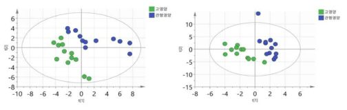 영양수준에 따른 대사체 분포, 왼쪽(1차), 오른쪽(2차), score plot(PLS-DA)