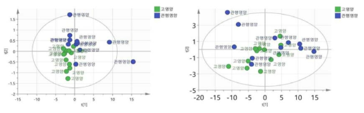 영양수준에 따른 대사체 분포, 왼쪽(5차), 오른쪽(6차), score plot(OPLS-DA)