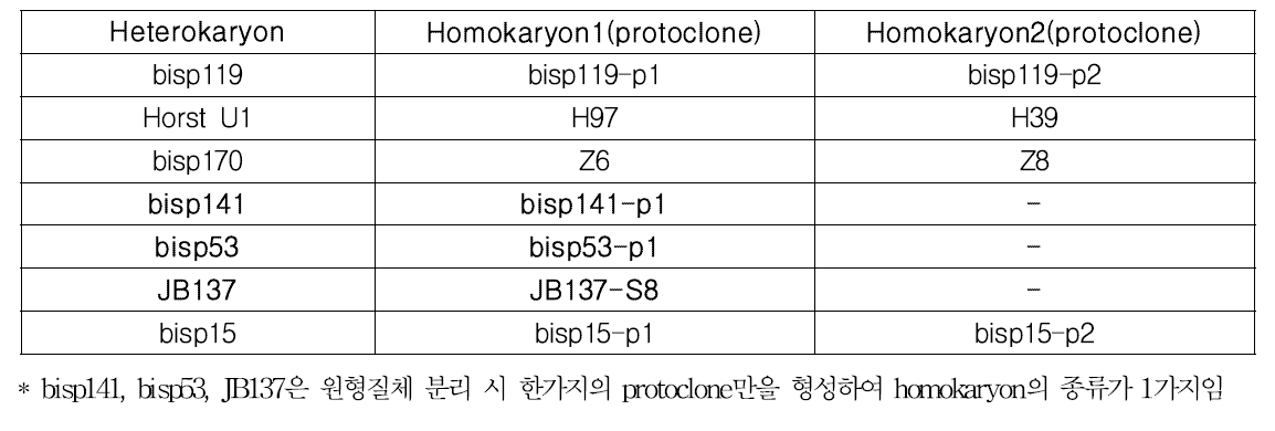 양송이 7균주로부터 확보된 protoclone 11점