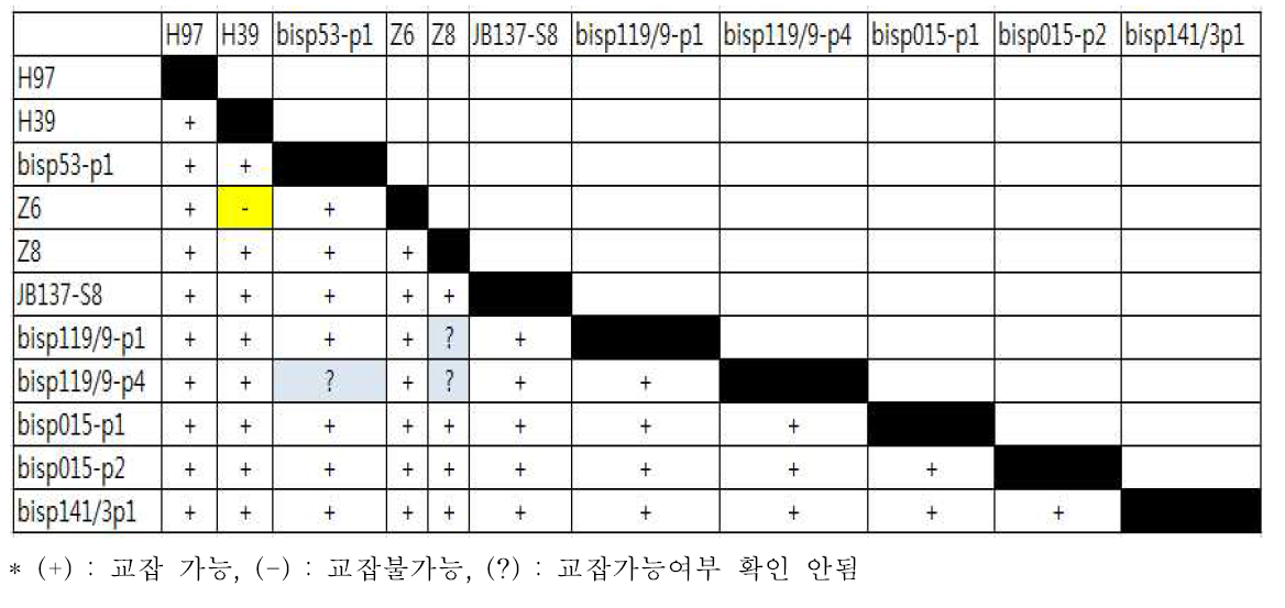 11개의 protoclones을 다면교배하여 얻은 화합성 테스트 결과