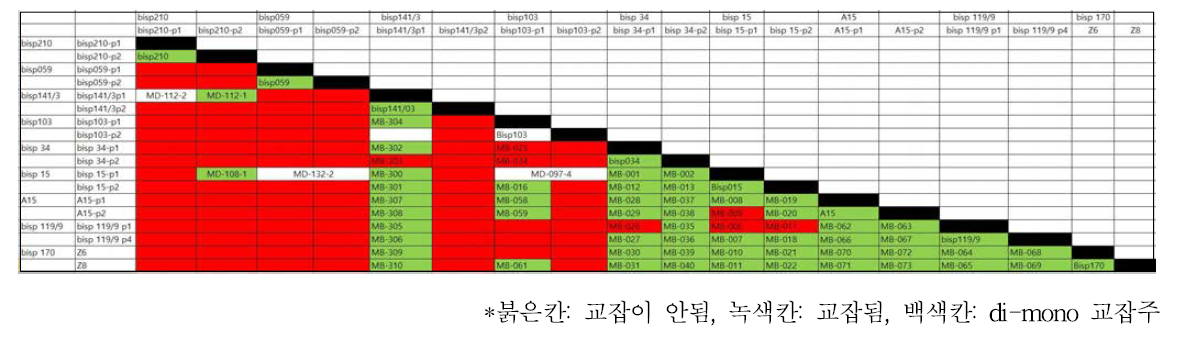 고수량성 교잡주 육성을 위한 다면교배